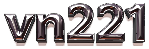 vn221 logo